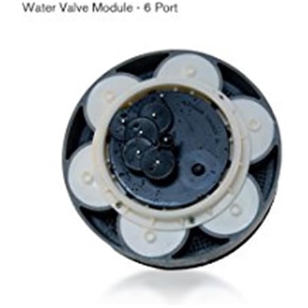 Paramount 004302440800 Six Port Water Module