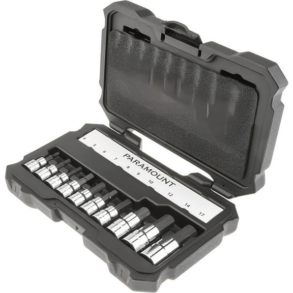 Paramount 10 Piece Metric Hex Bit Socket Set: 3/8" & 1/2" Drive, 4mm to 17mm Hex