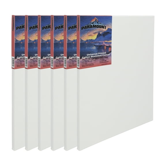 Paramount Artist Pre-Stretched Canvas for Painting, 11/16" Deep, 16 x 20, 6-Pack