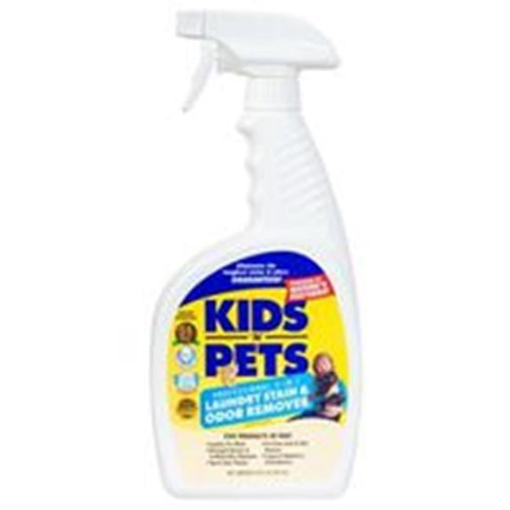 Paramount Chemicals 4825394 20 oz Stain & Odor Laundry Remover