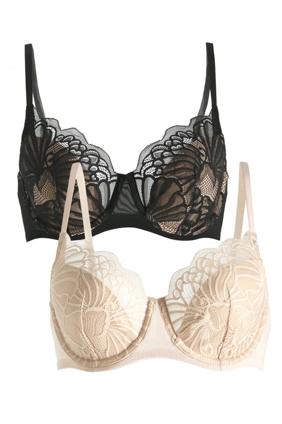 Paramour by Felina | Tempting Plush All Over Lace Underwire Bra 2-Pack (Sugar Baby Black 2-Pack, 36H)