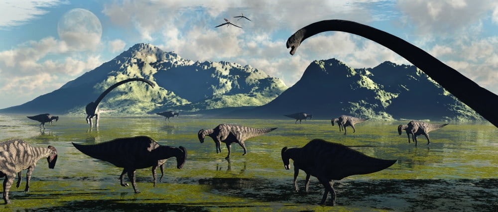 Parasaurolophus and sauropod dinosaurs share a feeding ground Canvas Art - Mark StevensonStocktrek Images (22 x 10)
