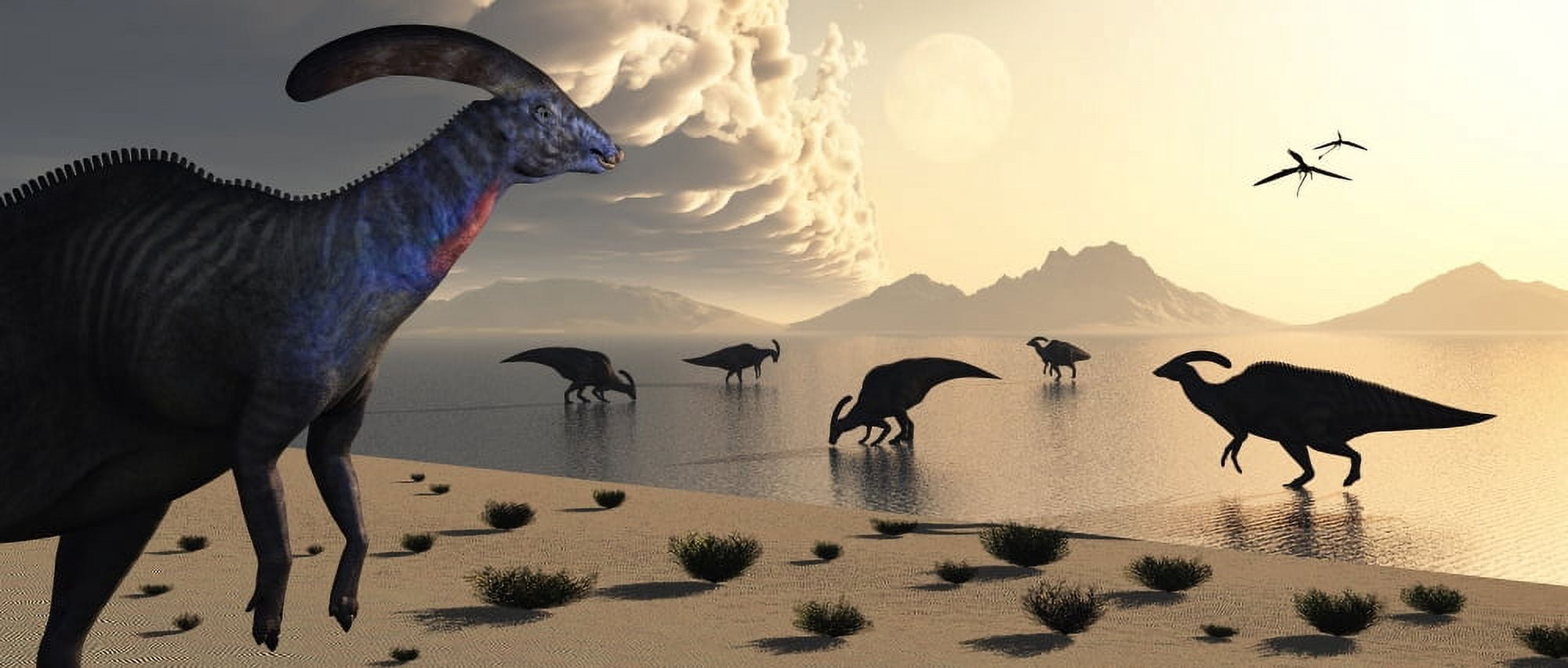 Parasaurolophus dinosaurs gather at a freshwater lake feeding ground Canvas Art - Mark StevensonStocktrek Images (44 x 19)
