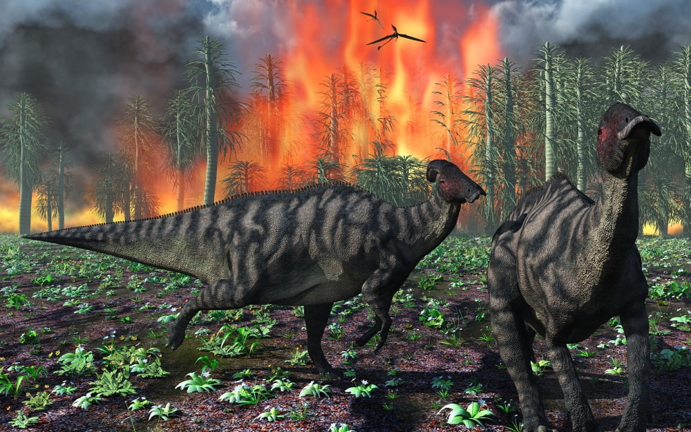 Parasaurolophus duckbill dinosaurs fleeing a deadly forest fire Canvas Art - Mark StevensonStocktrek Images (18 x 12)