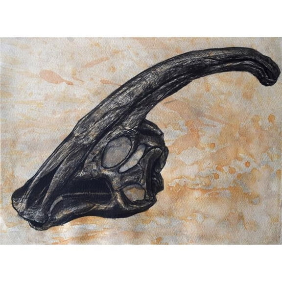 Parasaurolophus walkerii dinosaur skull Poster Print