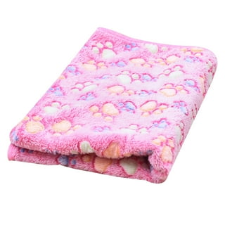 Dog Down Blanket