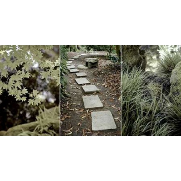 Parc Panel Canvas Art - Alan Blaustein (24 x 48)