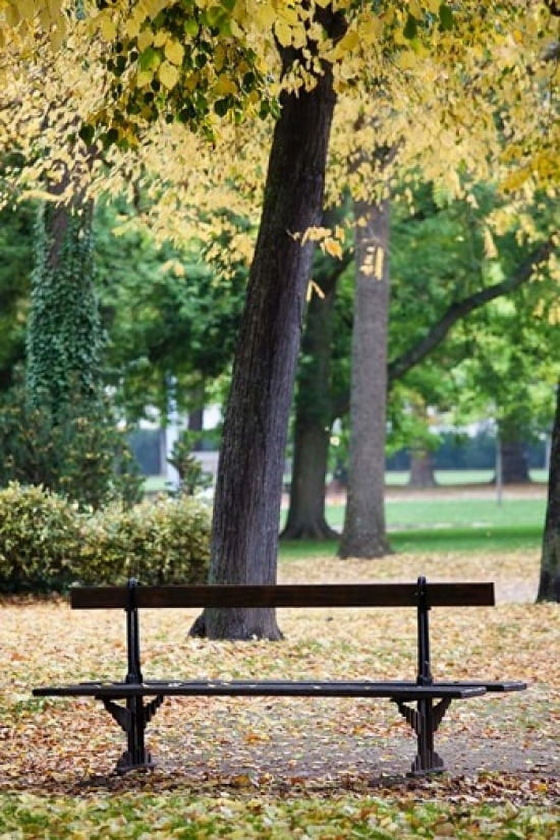 Parc de la Pepiniere France Canvas Art - Walter Bibikow DanitaDelimont (24 x 36)