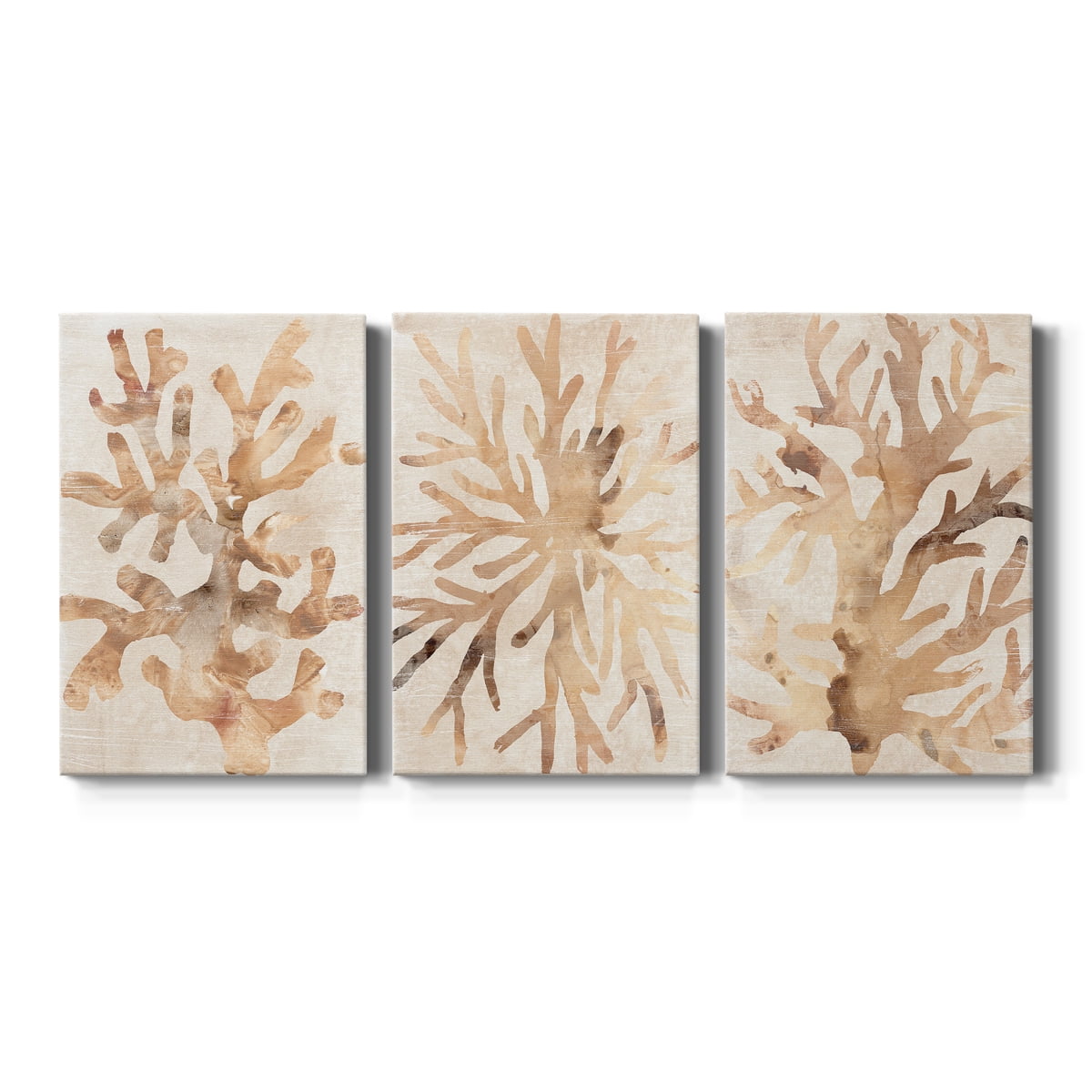 Parchment Coral I Premium Gallery Wrapped Canvas - Ready to Hang - 40 x 60 Each