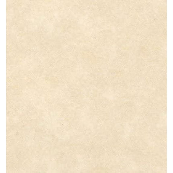 Parchment Paper Cardstock, 8.5 X 11 Inches, Natural (100)