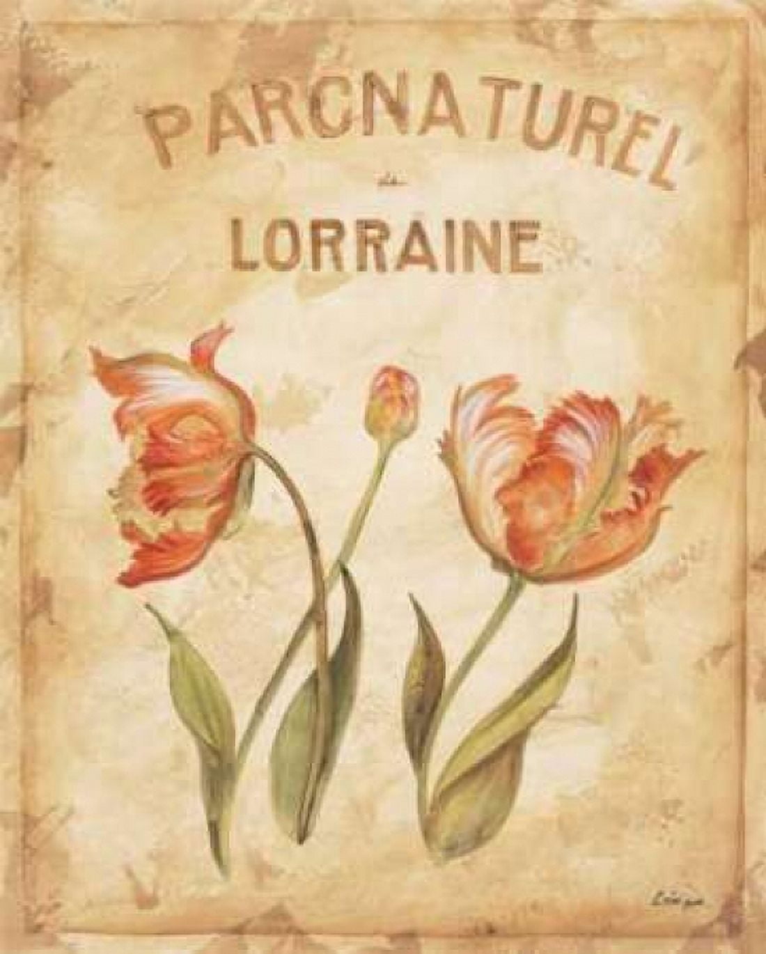 Parcnaturel III Canvas Art - Loretta Linza (24 x 30)