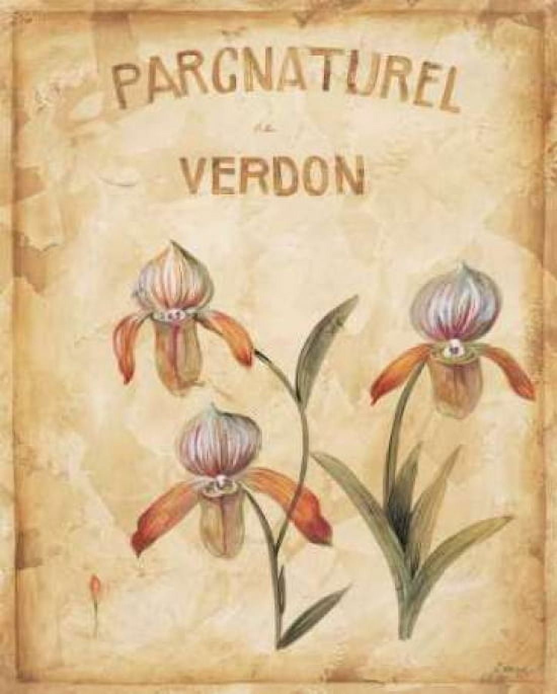 Parcnaturel IV Canvas Art - Loretta Linza (24 x 30)