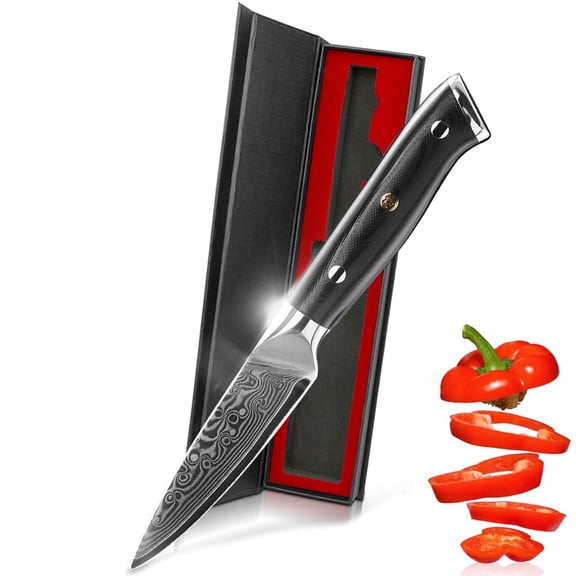 Paring Knife 3.5-inch Kitchen Knife VG-10 Damascus Steel 67 Layer Sharp Cooking Knife for Meat Vegetable
