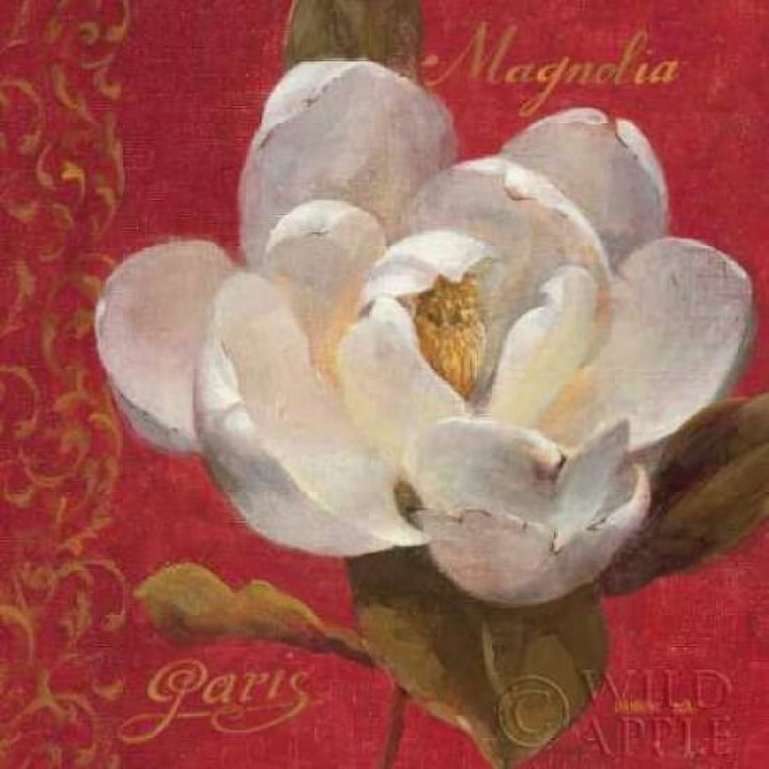Paris Blossom III Canvas Art - Danhui Nai (24 x 24)