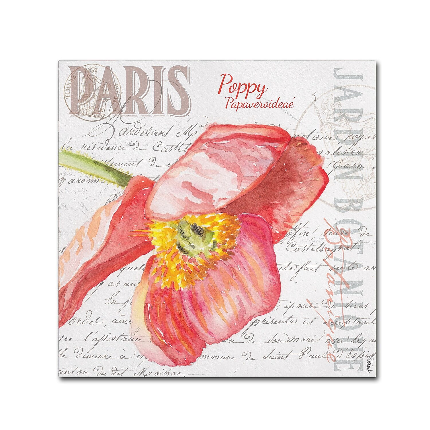 "Paris Botanique Red Poppy" Canvas Art by Jennifer Redstreake