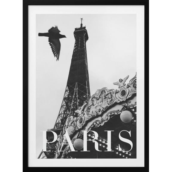 Paris Dove Framed Art Modern Wall Decor