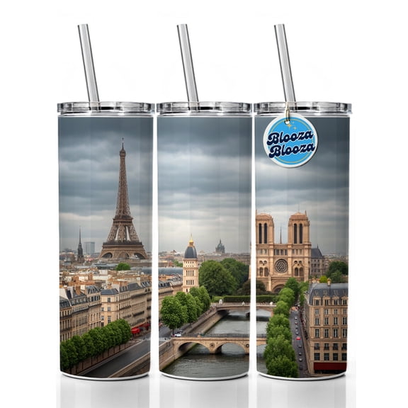 Paris France Travel Eiffel Tower Notre-Dame City 20oz Insulated Water Bottle Skinny Tumbler Includes Straw