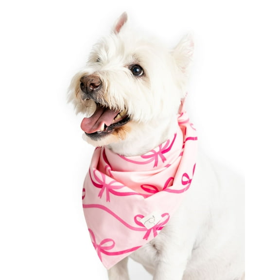 Paris Hilton x Monica + Andy Organic Cotton Pet Bandana