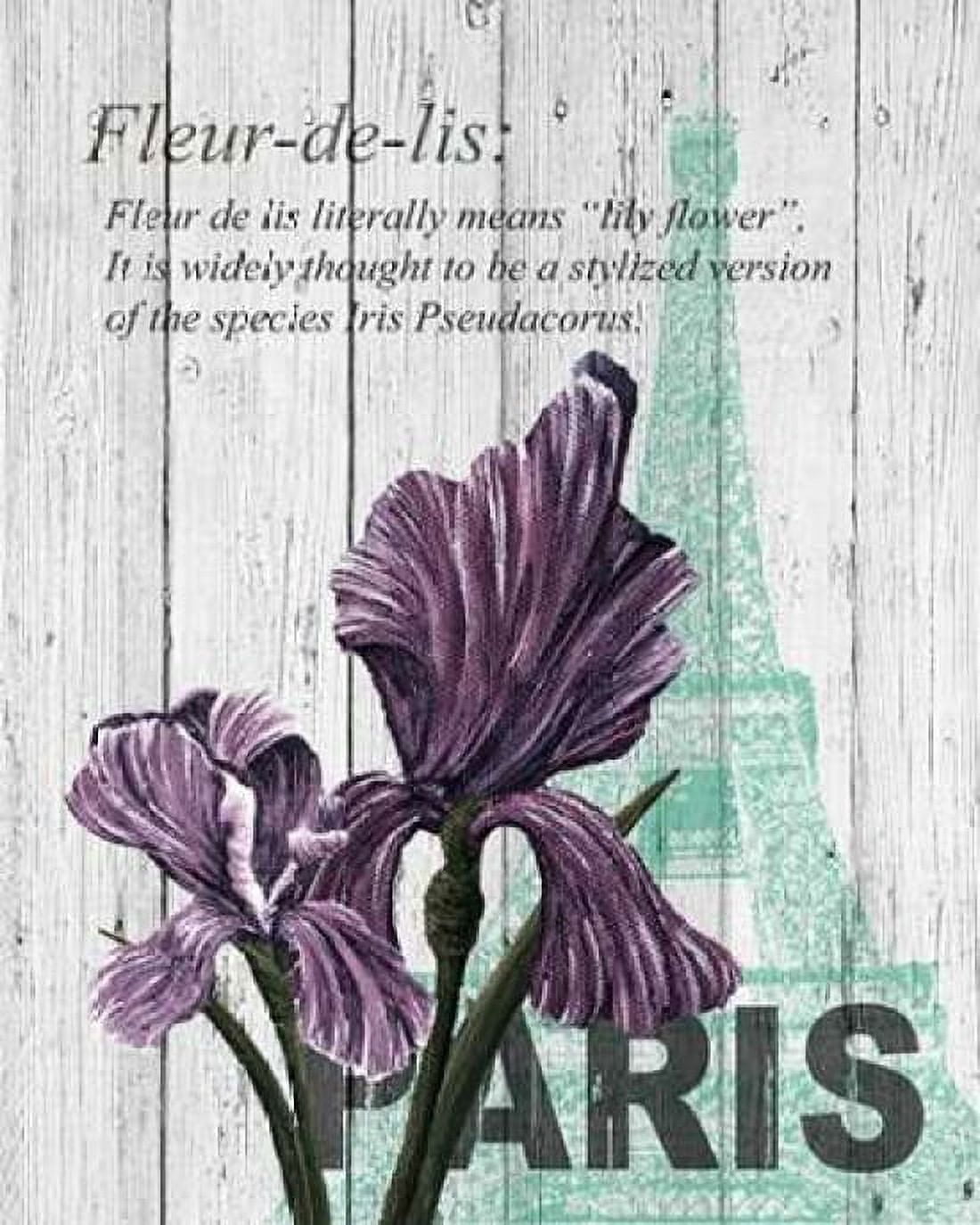 Paris Iris Canvas Art - Alicia Soave (24 x 30)