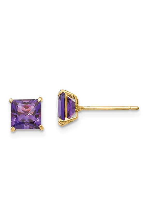 24k Yellow Gold 2 Carat Square Cut Amethyst Stud Earrings Plated Women
