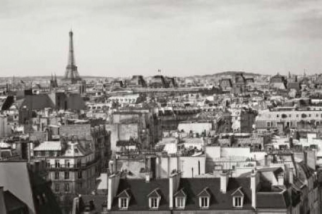 Paris Rooftops VIII Canvas Art - Rita Crane (20 x 28)