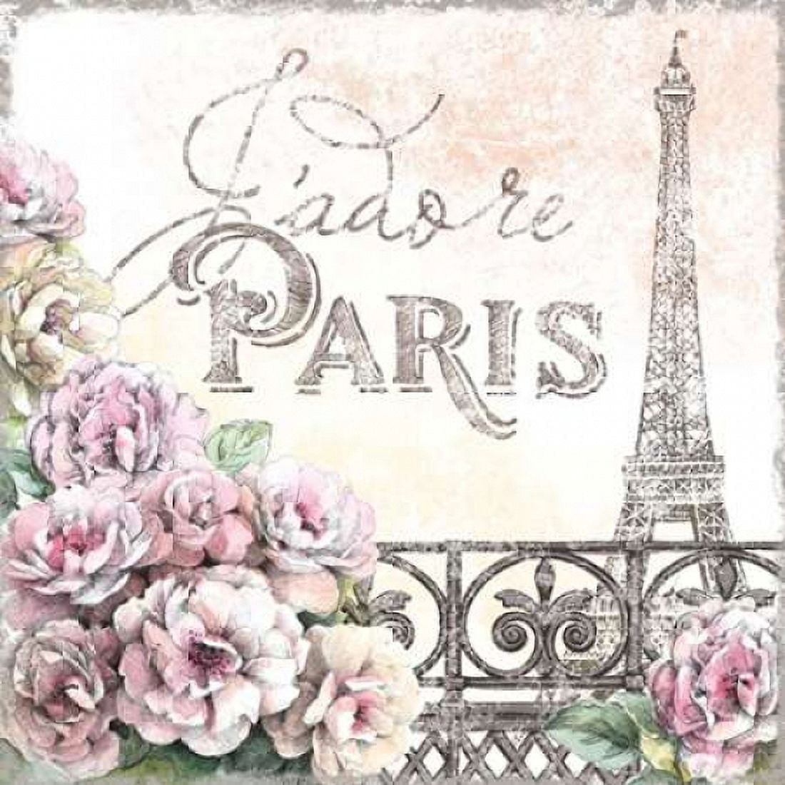 Paris Roses III Canvas Art - Beth Grove (24 x 24)
