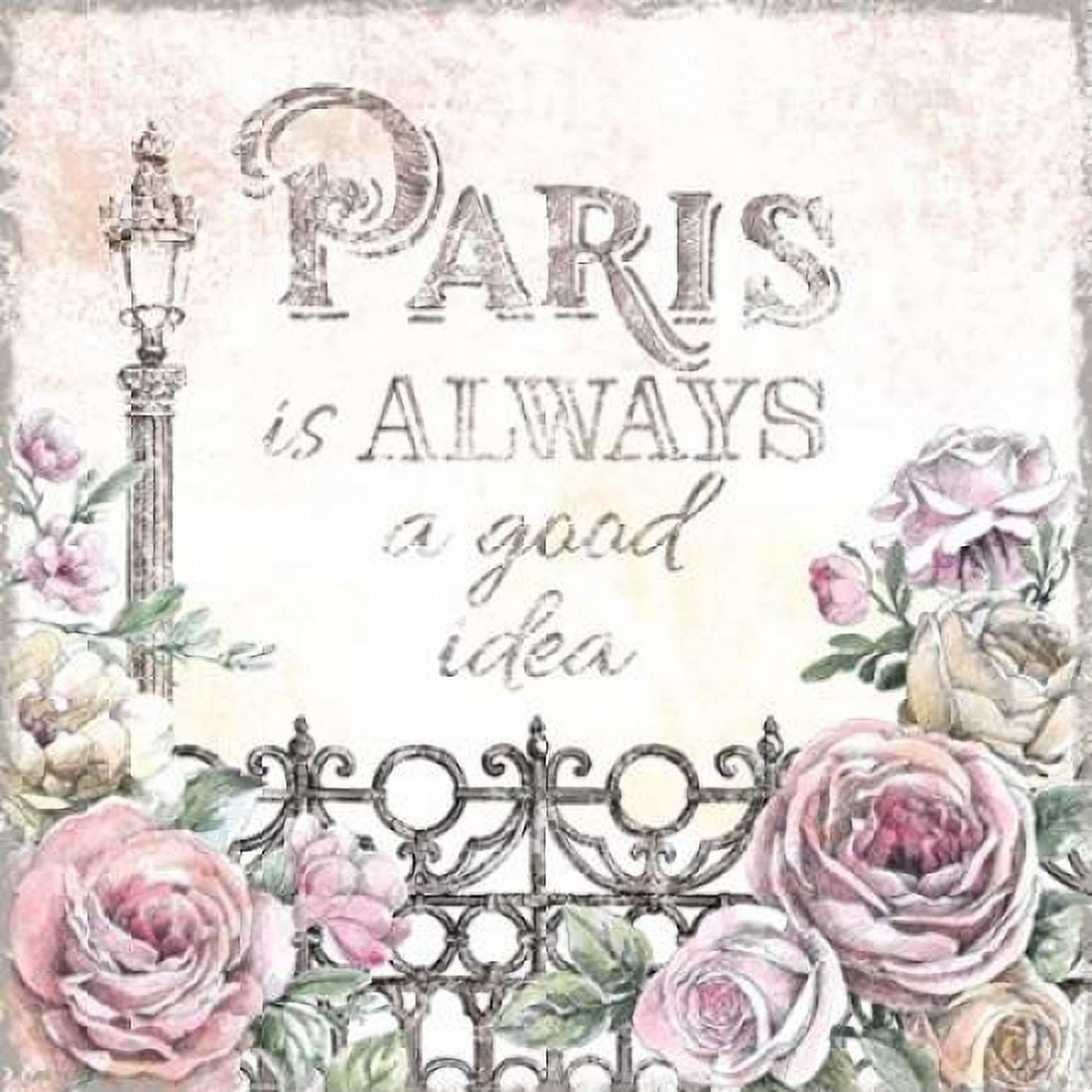 Paris Roses IV Canvas Art - Beth Grove (24 x 24)