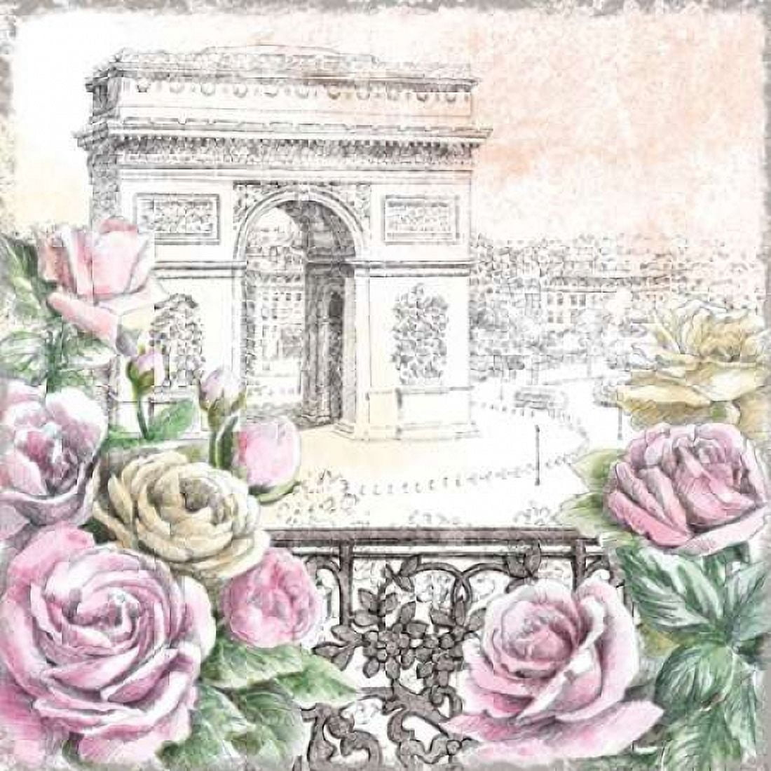 Paris Roses V Canvas Art - Beth Grove (24 x 24)