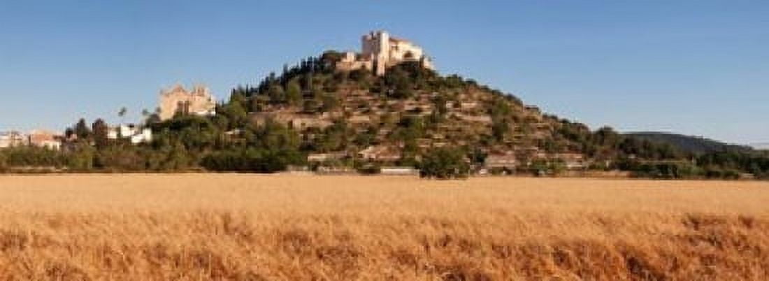 Parish Church of Transfiguracio del Senyor and Santuari de Sant Salvador Spain Canvas Art - Panoramic Images (33 x 12)
