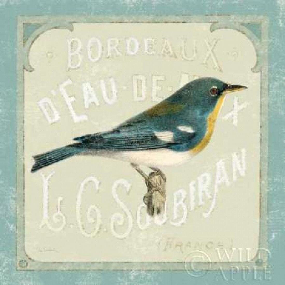 Parisian Bird I Canvas Art - Sue Schlabach (24 x 24)