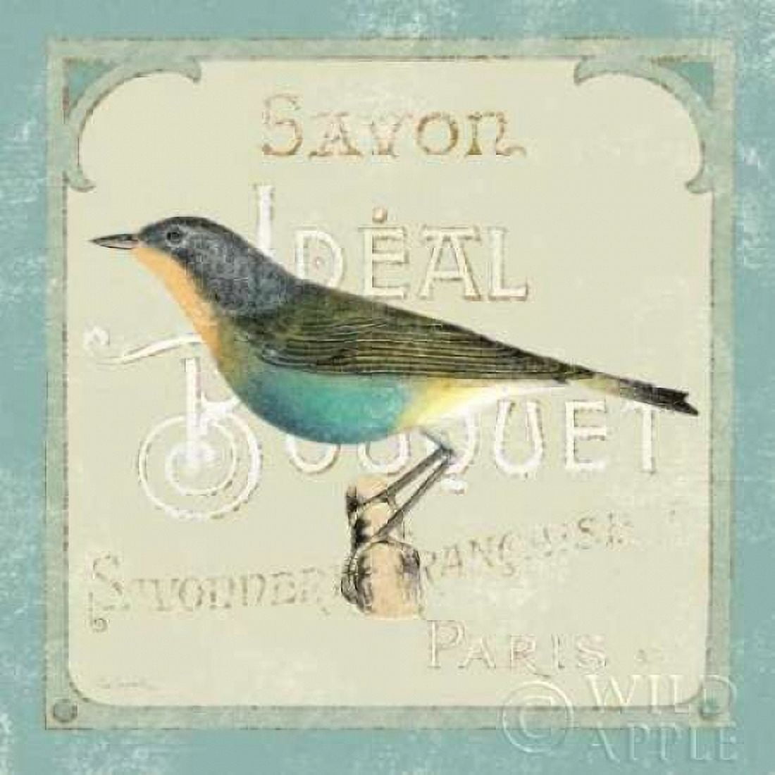 Parisian Bird II Canvas Art - Sue Schlabach (24 x 24)