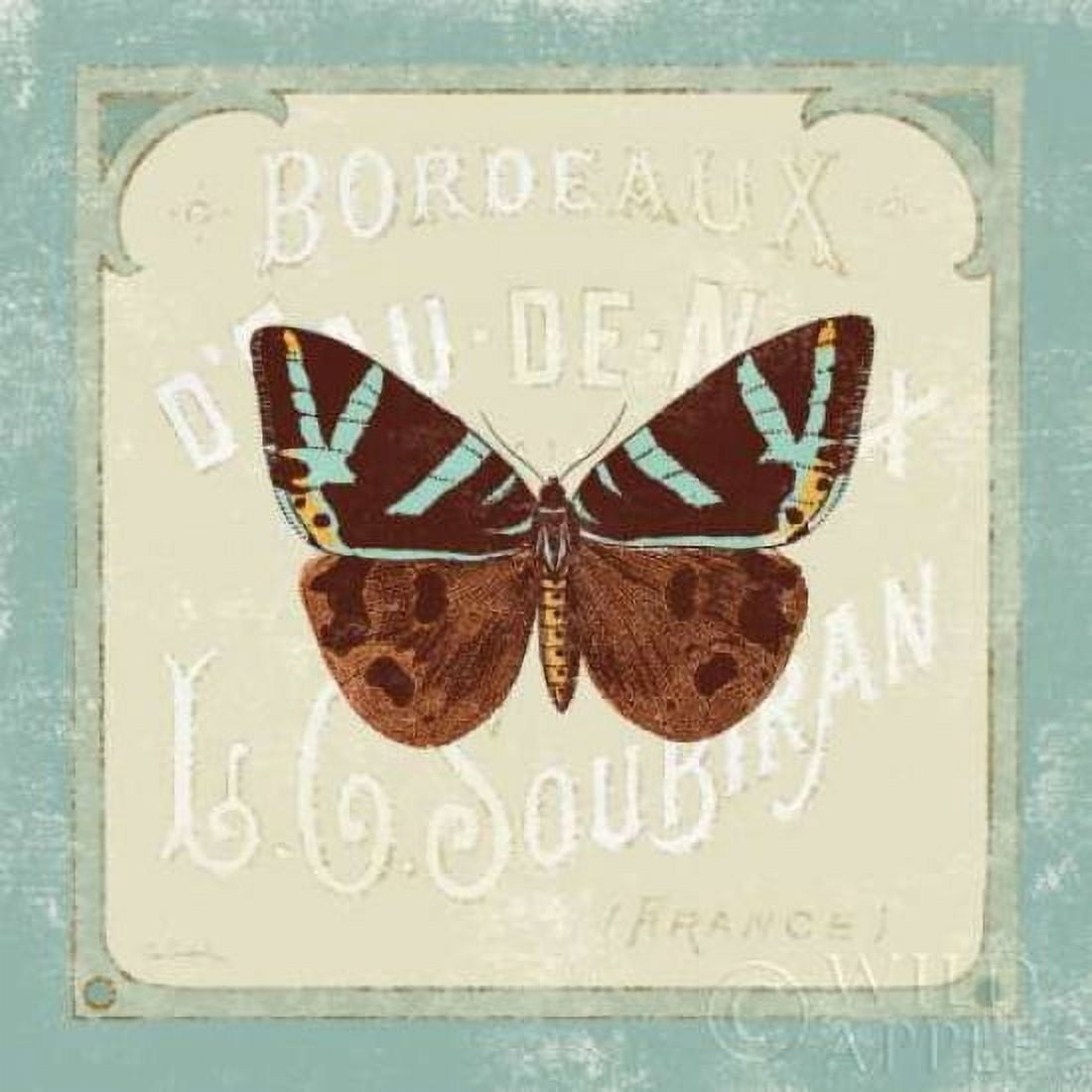 Parisian Butterfly II Canvas Art - Sue Schlabach (24 x 24)