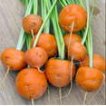 thumbnail image 1 of Parisian Carrot Seeds | NON-GMO | Heirloom | Fresh Vegetable Seeds, 1 of 1