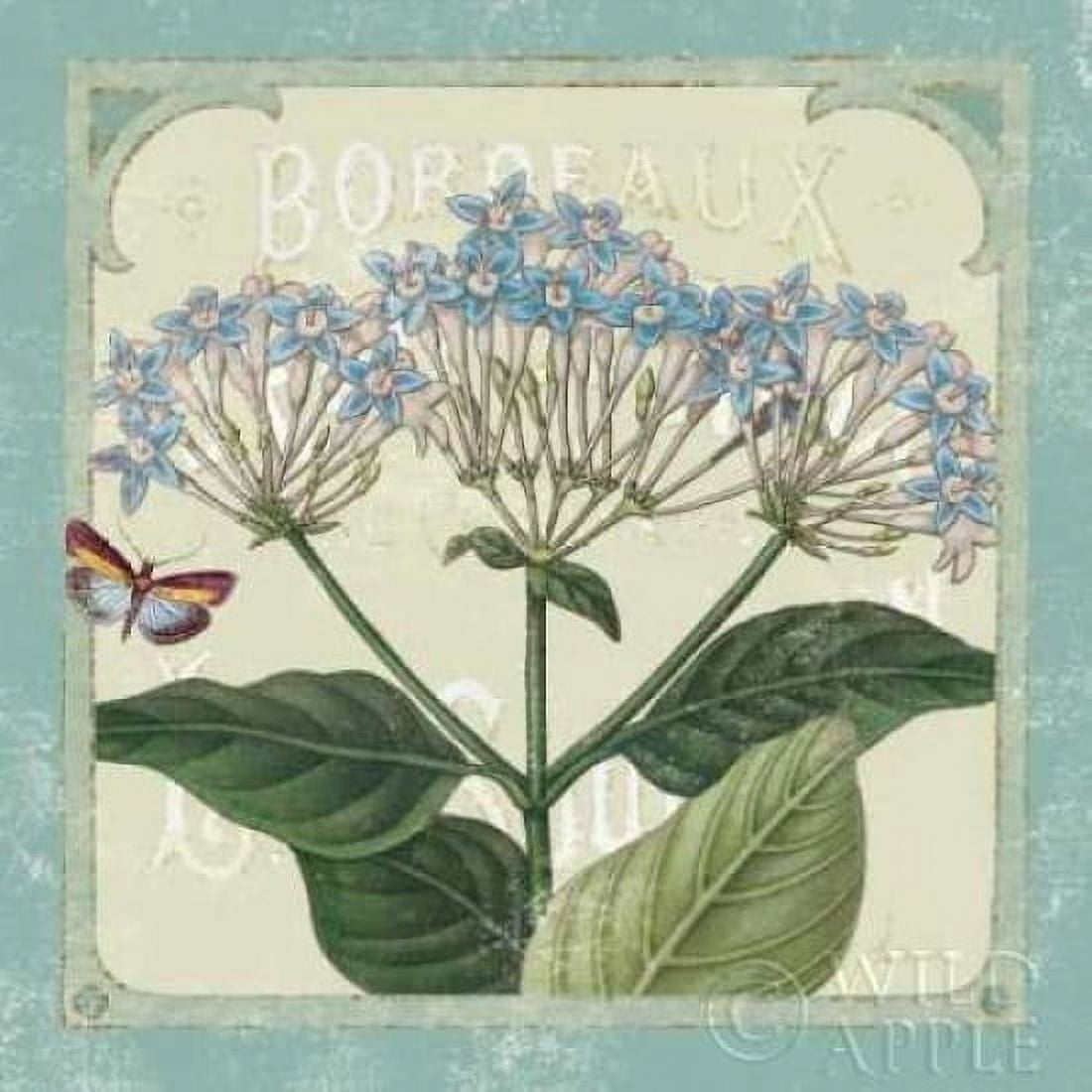 Parisian Flowers I Canvas Art - Sue Schlabach (24 x 24)