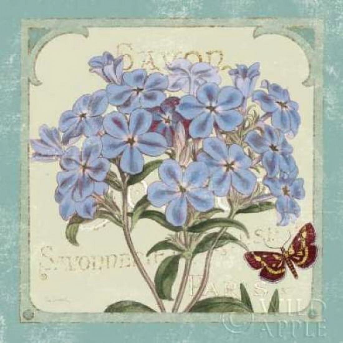 Parisian Flowers II Canvas Art - Sue Schlabach (24 x 24)
