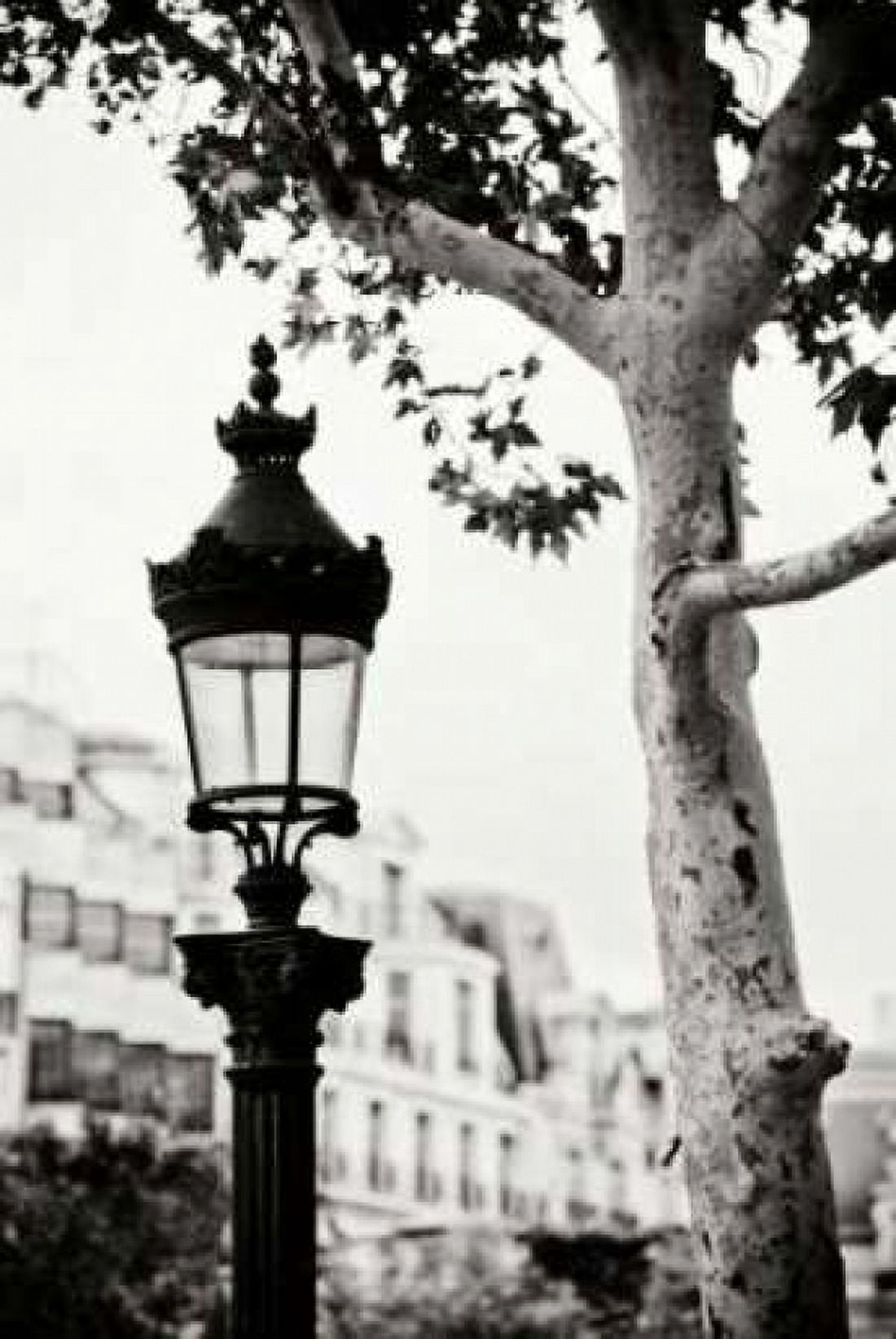 Parisian Lightposts BW II Canvas Art - Erin Berzel (12 x 18)