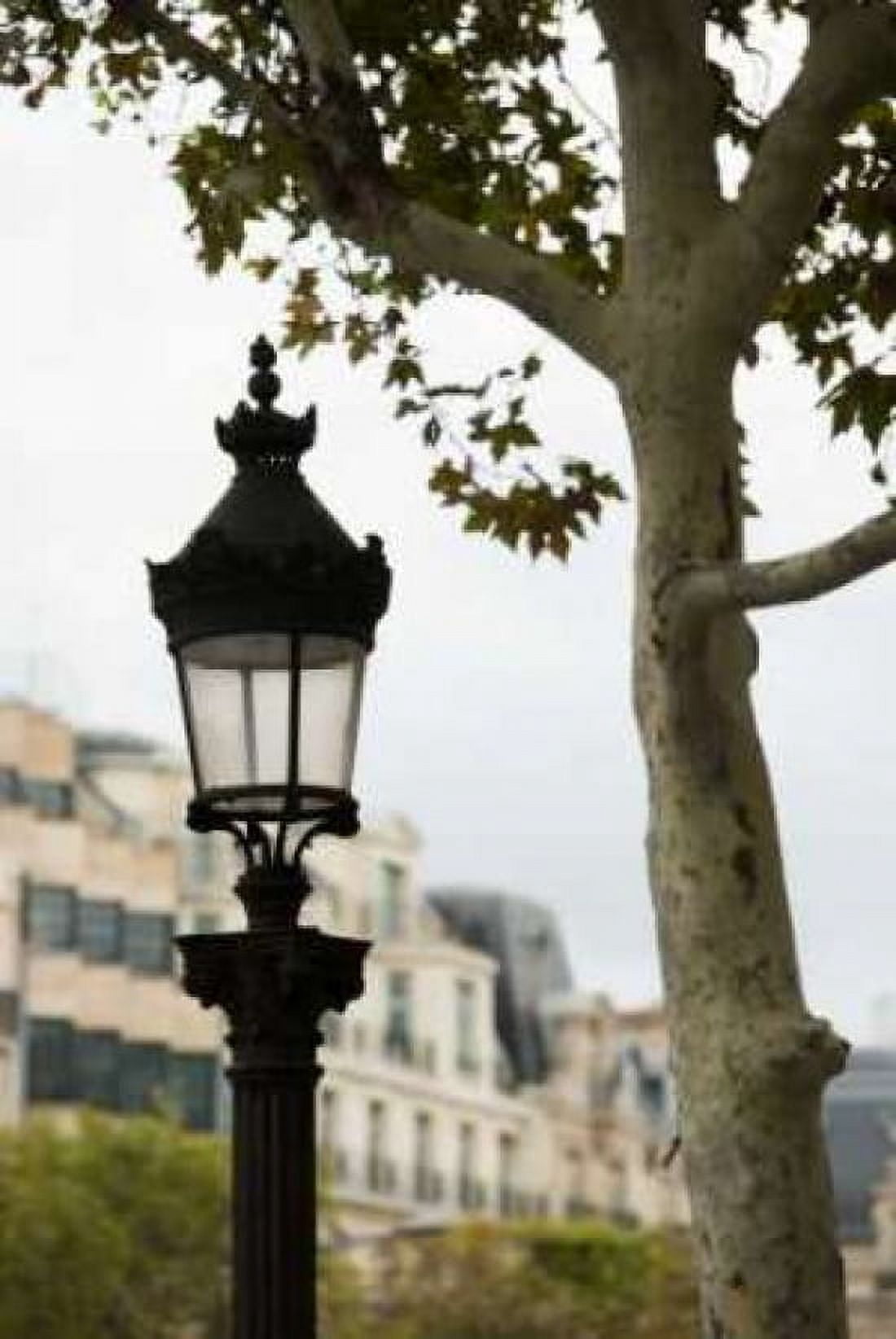 Parisian Lightposts II Canvas Art - Erin Berzel (12 x 18)