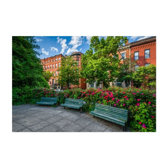 Park Ave Median Park - Baltimore Maryland Photography Architecture Flowers City Scenic Floral Summer Unframed Wall Art Print 5 x 7 inches