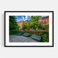 thumbnail image 1 of Park Ave Median Park - Baltimore Maryland Photography Architecture Flowers City Scenic Floral Summer Black Framed Wall Art Print 24 x 36 inches, 1 of 4