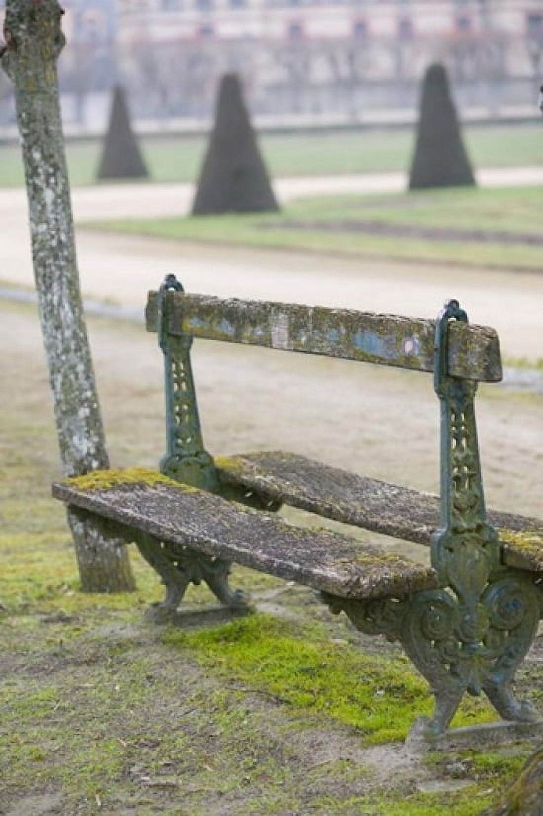 Park Bench in the Gardens Chateau de Fontainebleau Canvas Art - Walter Bibikow DanitaDelimont (24 x 36)