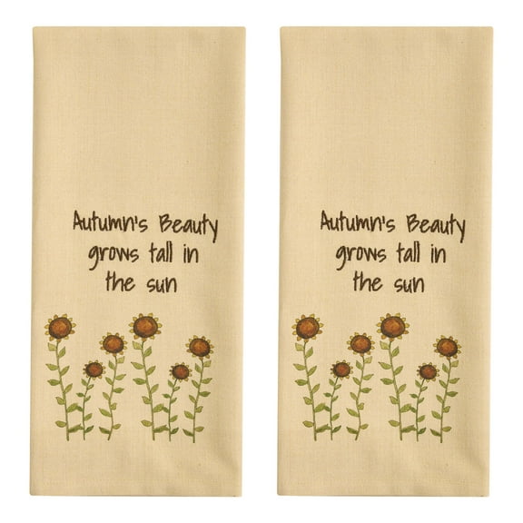 Park Designs Autumn's Beauty Dishtowel Set of 2