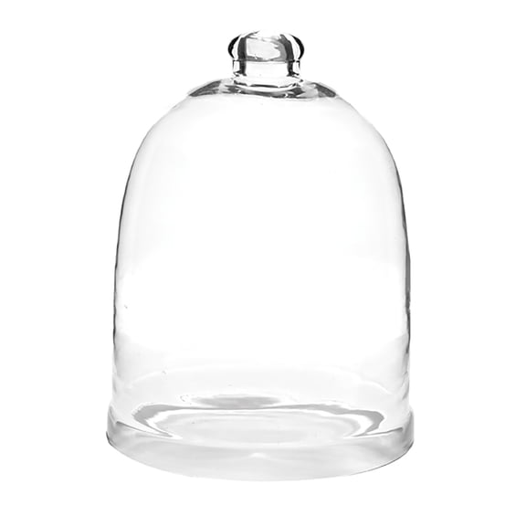 Park Designs Glass Bell Cloche 12"H