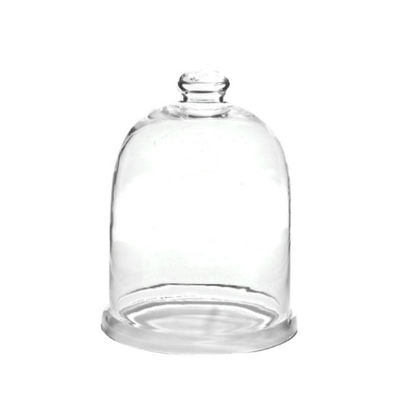 Park Designs Glass Bell Cloche 9.5"H