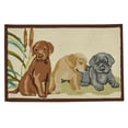 thumbnail image 1 of Park Designs Lab Puppies Indoor Hooked Rug 2X3, 1 of 3