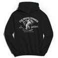 thumbnail image 1 of Park Fields Colorado Springs Baseball White Logo Graphic Black Men's Cotton Pullover Hoodie, 1 of 1