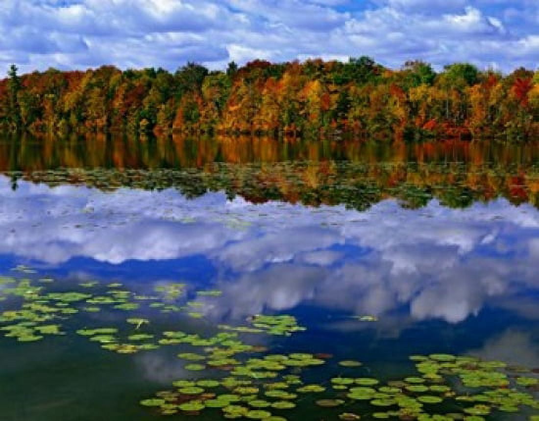 Park Haven Lake in Autumn Canvas Art - Jaynes Gallery DanitaDelimont (26 x 20)