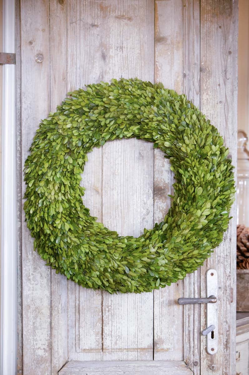 Park Hill Preserved Boxwood Wreath - Thumbnail 5