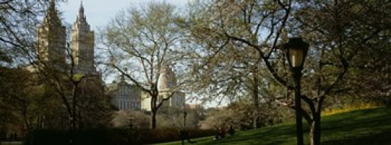 Park In Front Of A Building Central Park NYC New York City New York State USA Canvas Art - Panoramic Images (36 x 13)