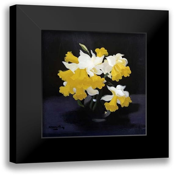 Park, James Stuart 15x15 Black Modern Framed Museum Art Print Titled - Daffodils