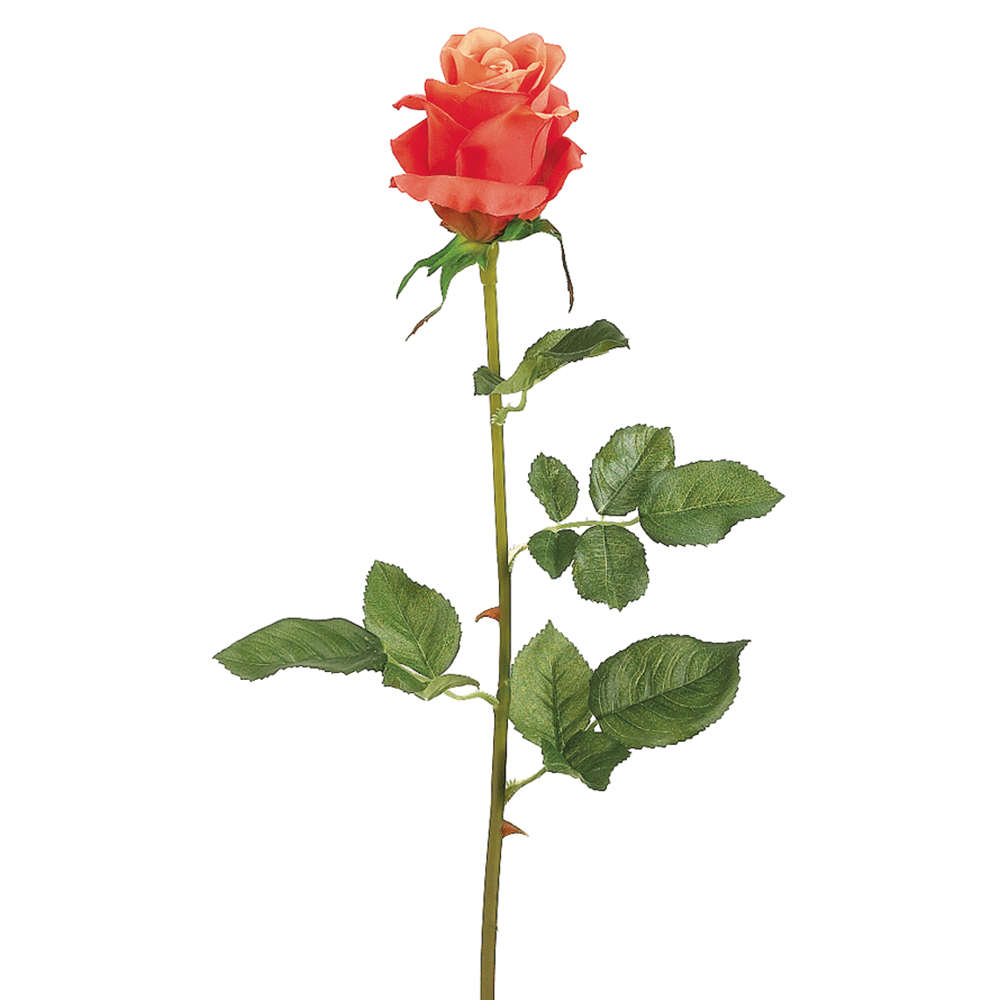 Park Place - 12 Piece French Rose Stem 28" Orange